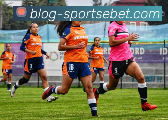 易倍体育APP 封面图